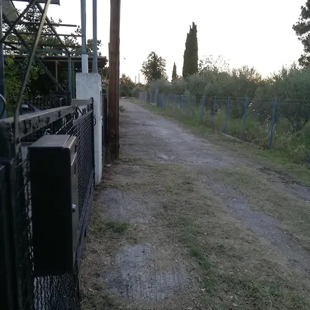 With Yard And Trees Thronion