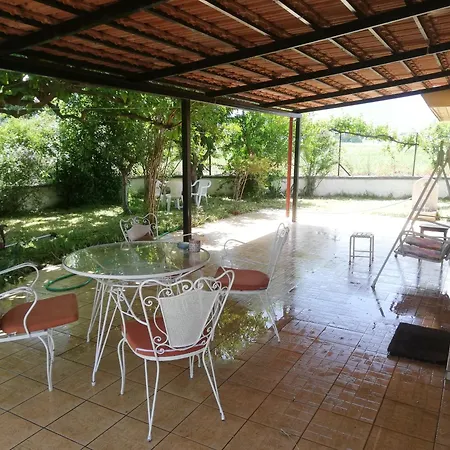With Yard And Trees