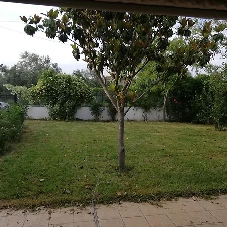 Apartment With Yard And Trees *