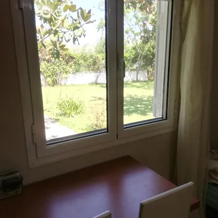 With Yard And Trees Apartment *