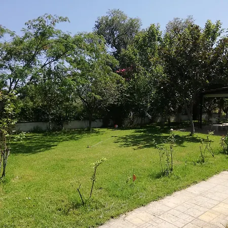 Apartment With Yard And Trees *