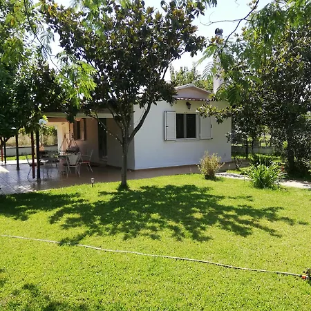 With Yard And Trees Apartment Thronion