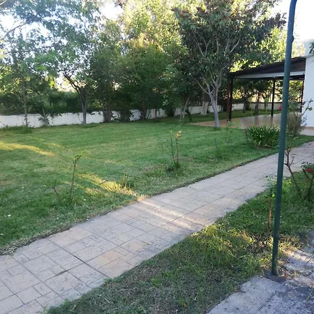 With Yard And Trees * Thronion